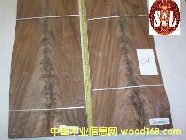 �������棬���Ҳ�ľ