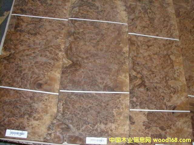 ���������������������ں�������