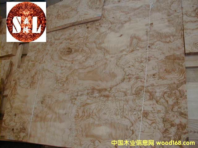 ����������������˨������OLIVE ASH BURL