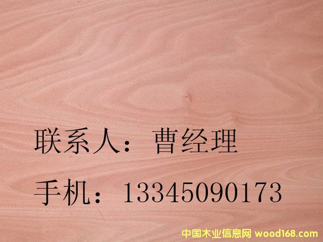 奥古曼单板的详细介绍