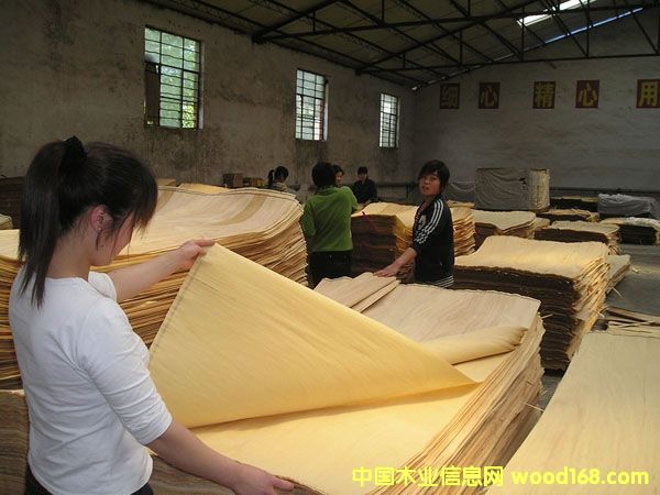 山桂花单板的详细介绍