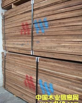 ����鿴�ں��ҷŴ�ͼƬ