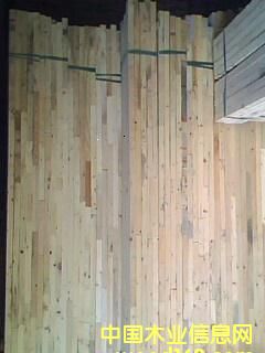 ����鿴��ľָ�Ӳ��ű��ϷŴ�ͼƬ