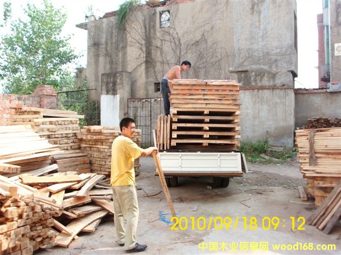 ����鿴��ľ��ľ�Ŵ�ͼƬ