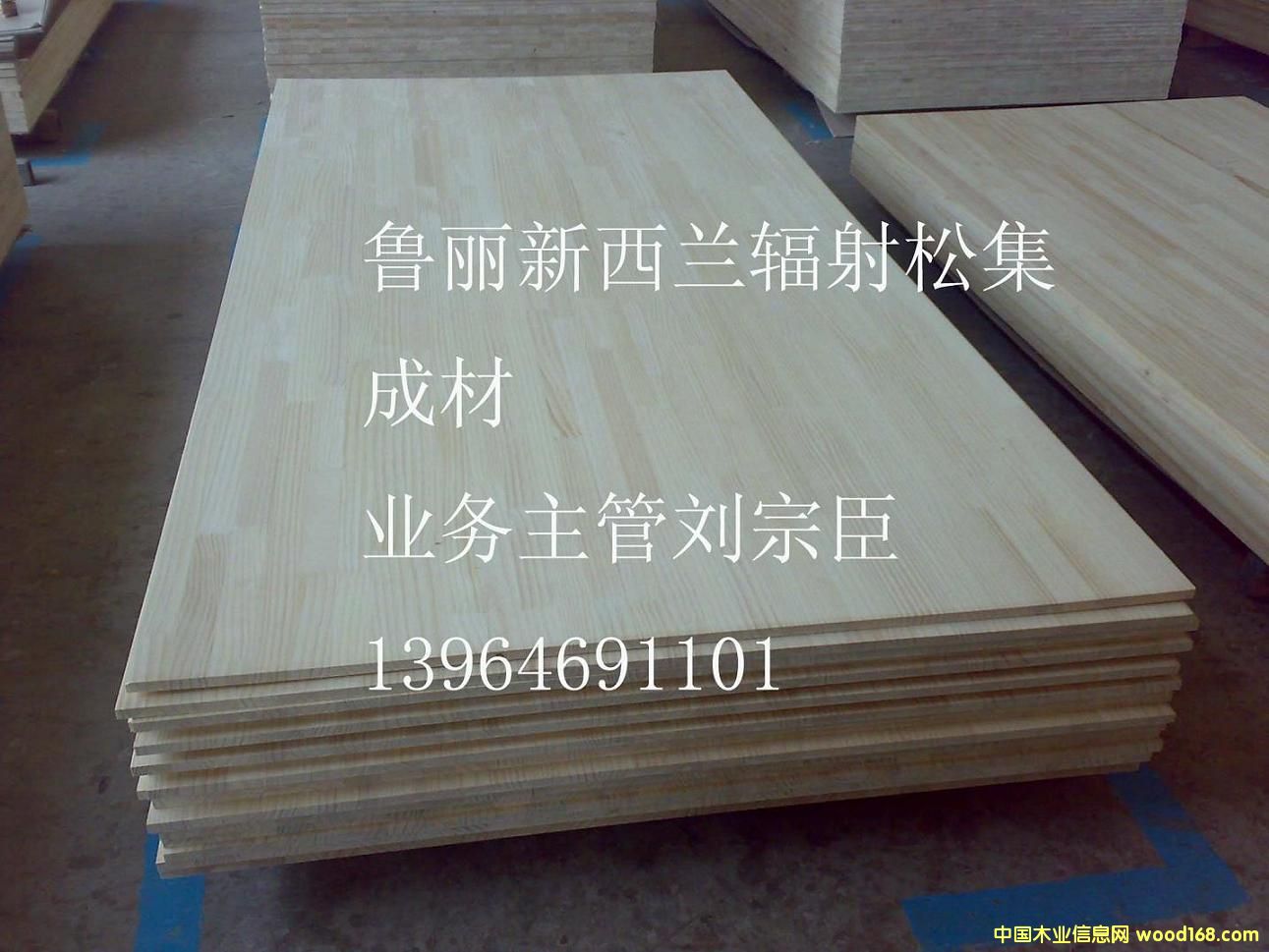 智利辐射松集成材的详细介绍