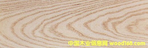 ����鿴ˮ�����Ŵ�ͼƬ