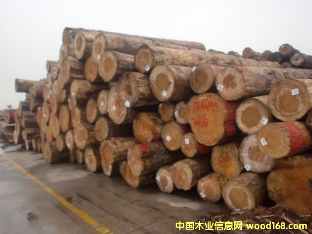 FSC新西兰辐射松无节原木价格表-中国木业信