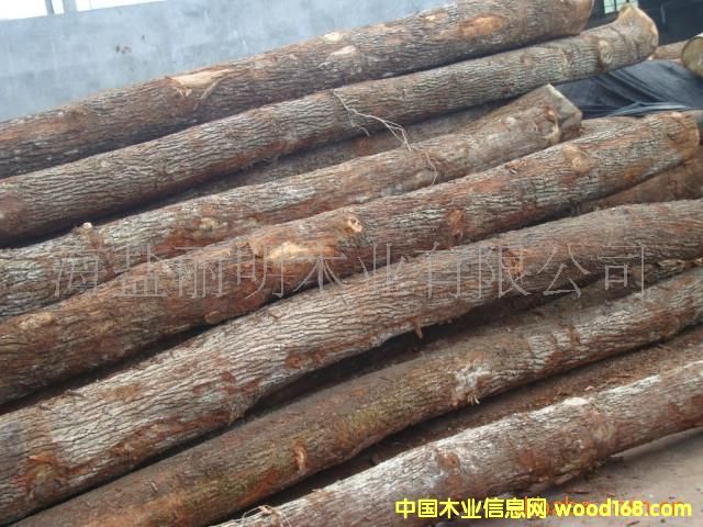 ����鿴ŷ�޽�����ľԭľ����ϸ����