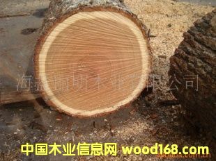 ����鿴ŷ�޽�����ľԭľ����ϸ����