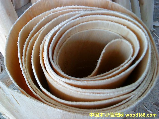 桉木单板的详细介绍