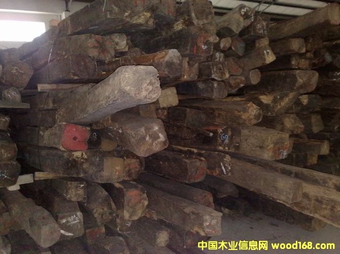 ����鿴����֦2�Ŵ�ͼƬ