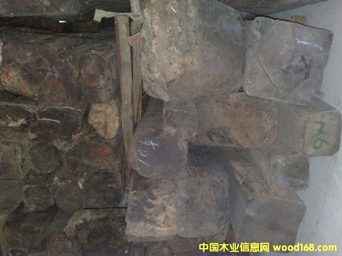 ����鿴����֦3�Ŵ�ͼƬ