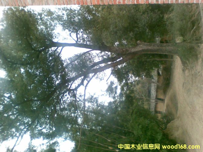 ����鿴�����Ŵ�ͼƬ