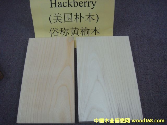 ����鿴��ľ��ķŴ�ͼƬ