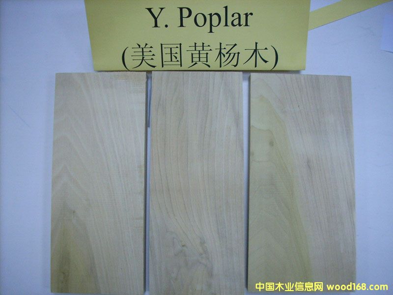 ����鿴FSC����(Yellow Poplar)��ϸ����