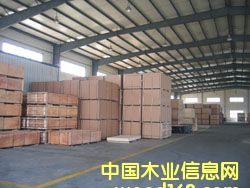 ����鿴��ľ�������ϸ����