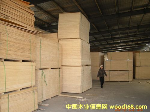 ����鿴��ľ���ϰ����ϸ����