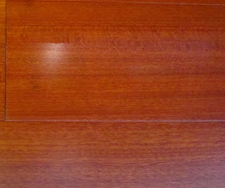 �𺣰�ɳ��������ϸ����