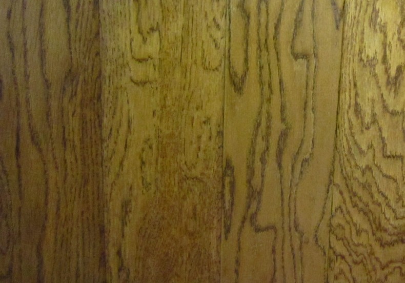 ������ľ����ϸ����