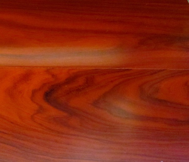 ����֦���