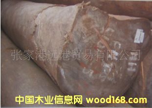 Ӧľ ľ ԭľ  Peltogyne