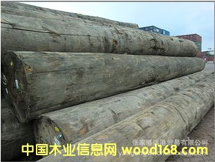 ӦƬ ɽԭľ  ľ (KAPA / KPXX)