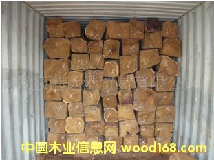 ��Ӧ���޻ƻ��� �ǻ��� �����̴���� ԭľ