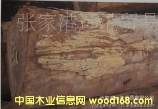 Ӧ°÷ľ ˿ԭľ  ľ BEW