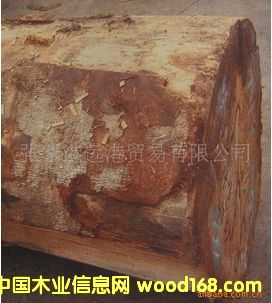 Ӧͩԭľ ľ  TRBU / EN