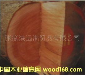 żҸԶľҵ Ӧ һԭľ  ľ