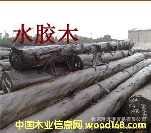 ˮ���� ˮ��ľԭľ ��� ľ�� GUW / EUG