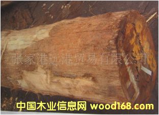 ��Ӧ���ǳ�ɽ Ӳ��ľԭľ ���ALH