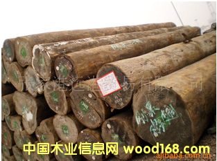 Ӧ¶ľ ľԭľ  ľwenge