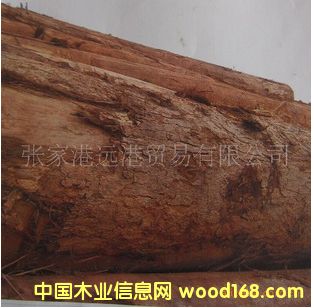 Ӧ˹ľ ܿԭľ ľ ERI/BIN