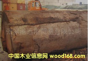 Ӧɼ ԭľ  BIND / AGA