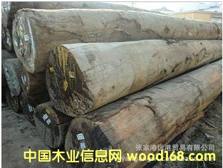 ӦʰͶ Ÿ ˹ԭľ  MGRS