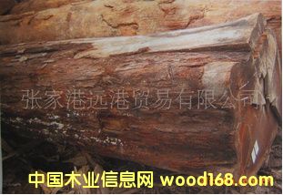 Ӧ  ľԭľ  RGAS/ HEK