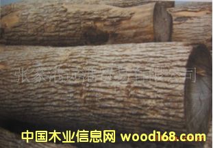 Ӧˮԭľ  lasenj Ash