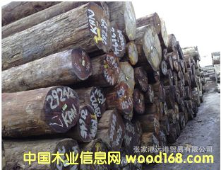  ��Ӧɽ����ԭľ ��� ľ�� KAN / KDIS