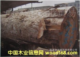 Ӧ»Ƶľ Ӳľԭľ ľ HAY / NEO