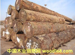 ��ľ ���� ���޲��ܸ�ԭľ ��� ľ�� 