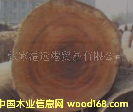 ̱ɣ ޻ƽľ ƽ ľԭľ 