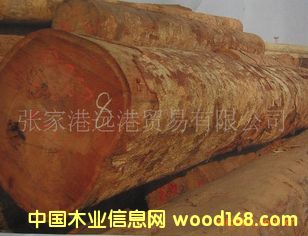 Ӧ󻨸ʰͶ ˹ԭľ ľ KEM