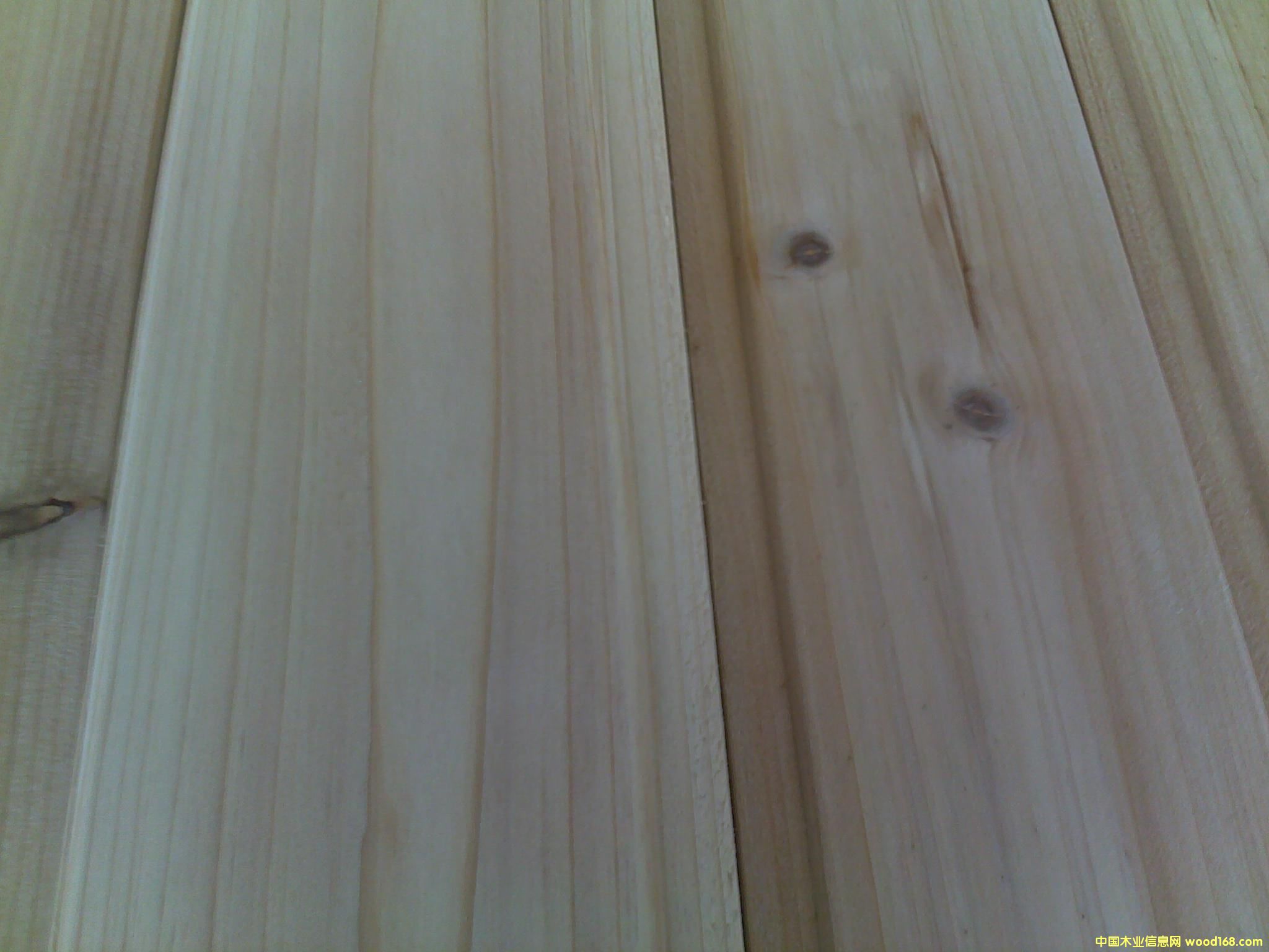 ��ɼǽ�ڰ壨��Ŀ�壩