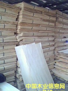 ����鿴��ľ����Ŵ�ͼƬ