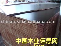 ����鿴���ں�����ľо����ģ��Ŵ�ͼƬ