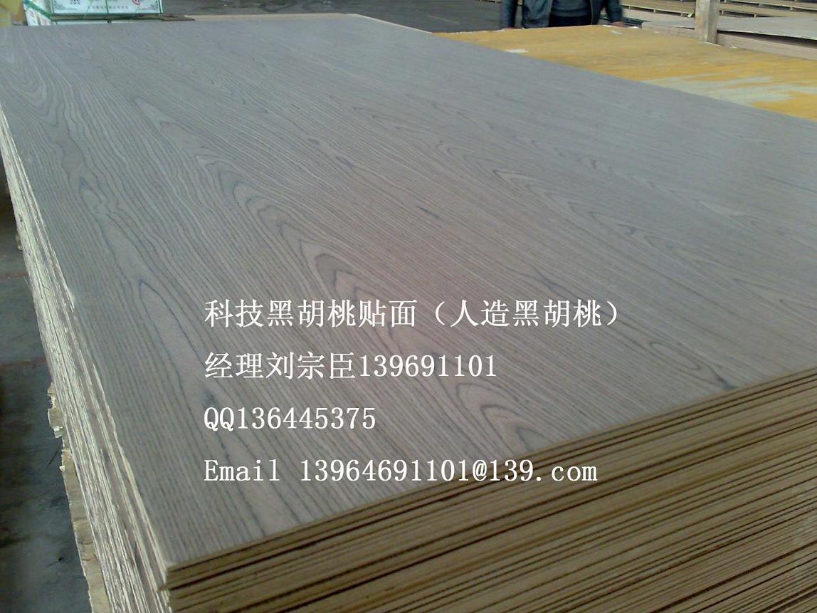 �ں��������