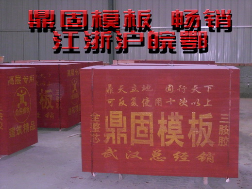 ����ģ�����ϸ����