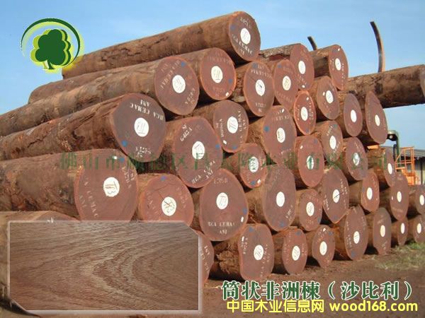 ɳԭľ巽 Ӧ 13690415561