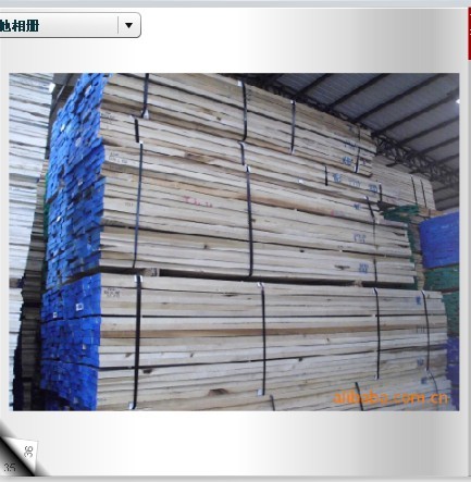 Yellow Poplar(鱣ľϸ